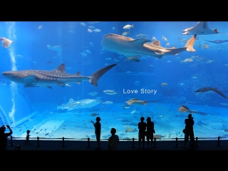 Spanish history - Love Story ЕвроВидео Love story, Свадебное видео, История знакомства, Видеосъемка свадеб, Свадебный фильм