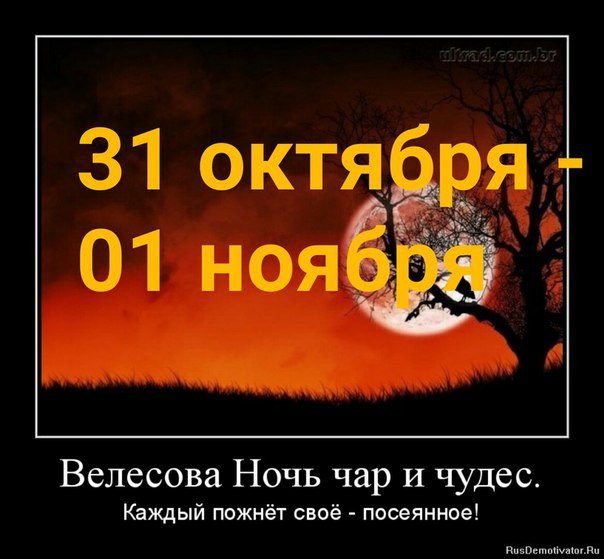 Афиша Ростов-на-Дону ВЕЛЕСОВА НОЧЬ