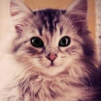 Константин Фролов