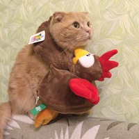 Наталья Алексеенко