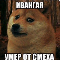 Илья Шевченко