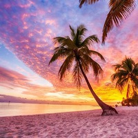 Наталья Мороз