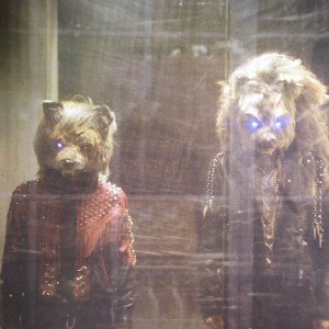 Fox n' Wolf