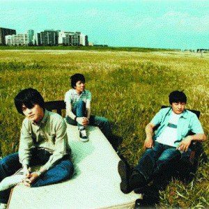 the pillows