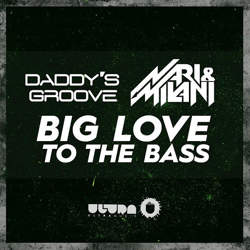 Daddy's Groove альбом Big Love to the Bass (Radio Edit)