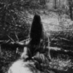 NULLSE†