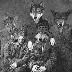 The Republic of Wolves
