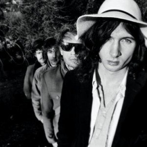 The Shutes