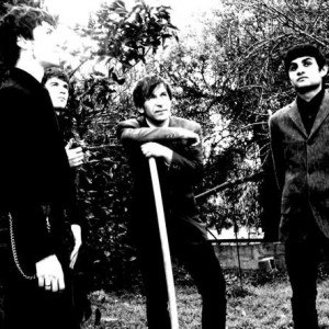 The Rippers
