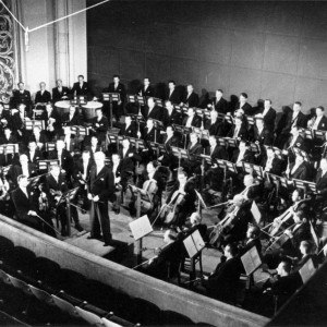The Vienna Philharmonic Orchestra