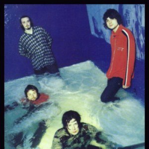 The Seahorses
