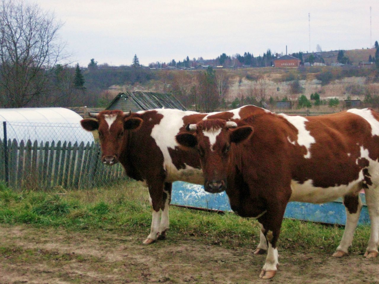 Vzyf-VfddPc.jpg
