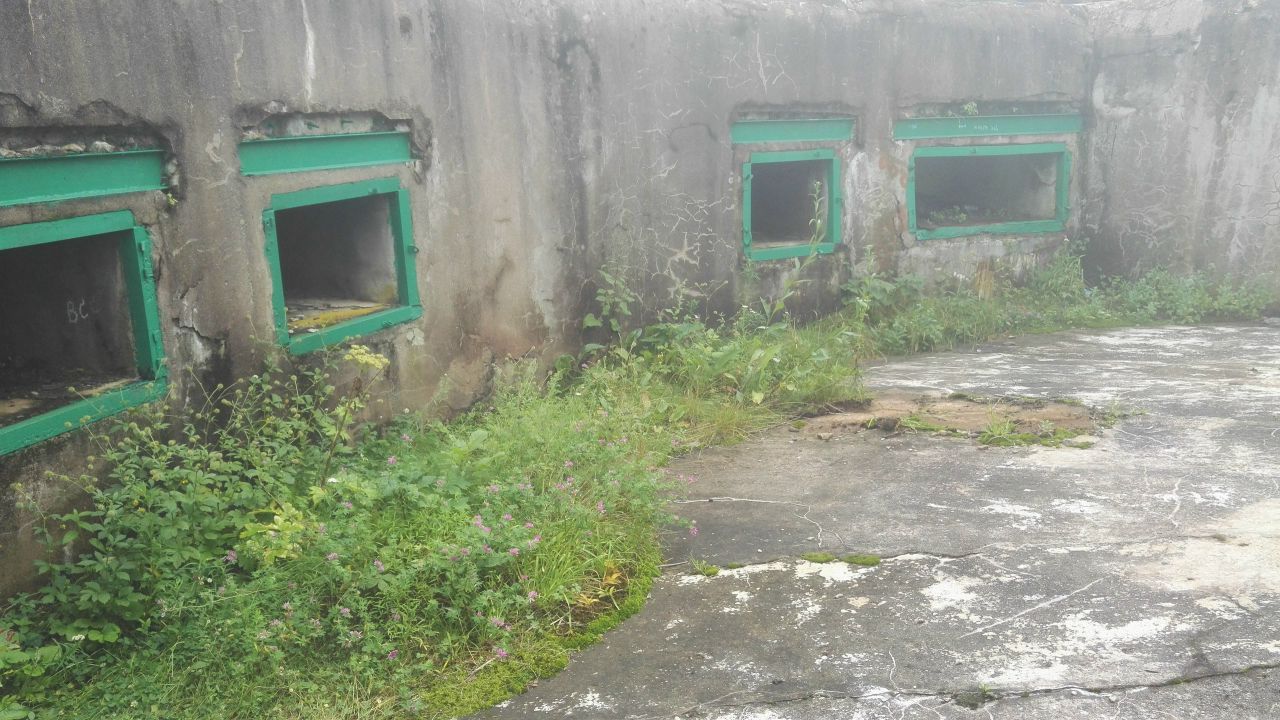 https://pp.userapi.com/c638816/v638816340/5f671/OEoC1rsW-eA.jpg