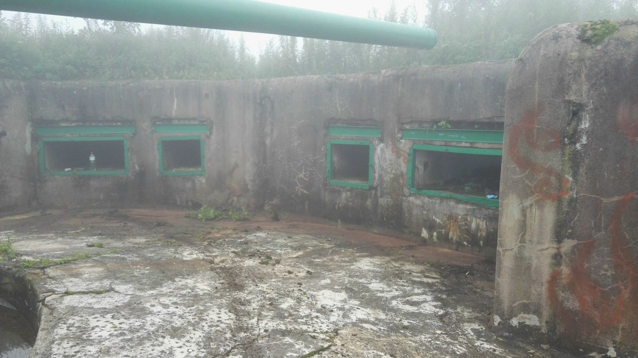 https://pp.userapi.com/c638816/v638816665/59637/VjPdNMXwB3M.jpg