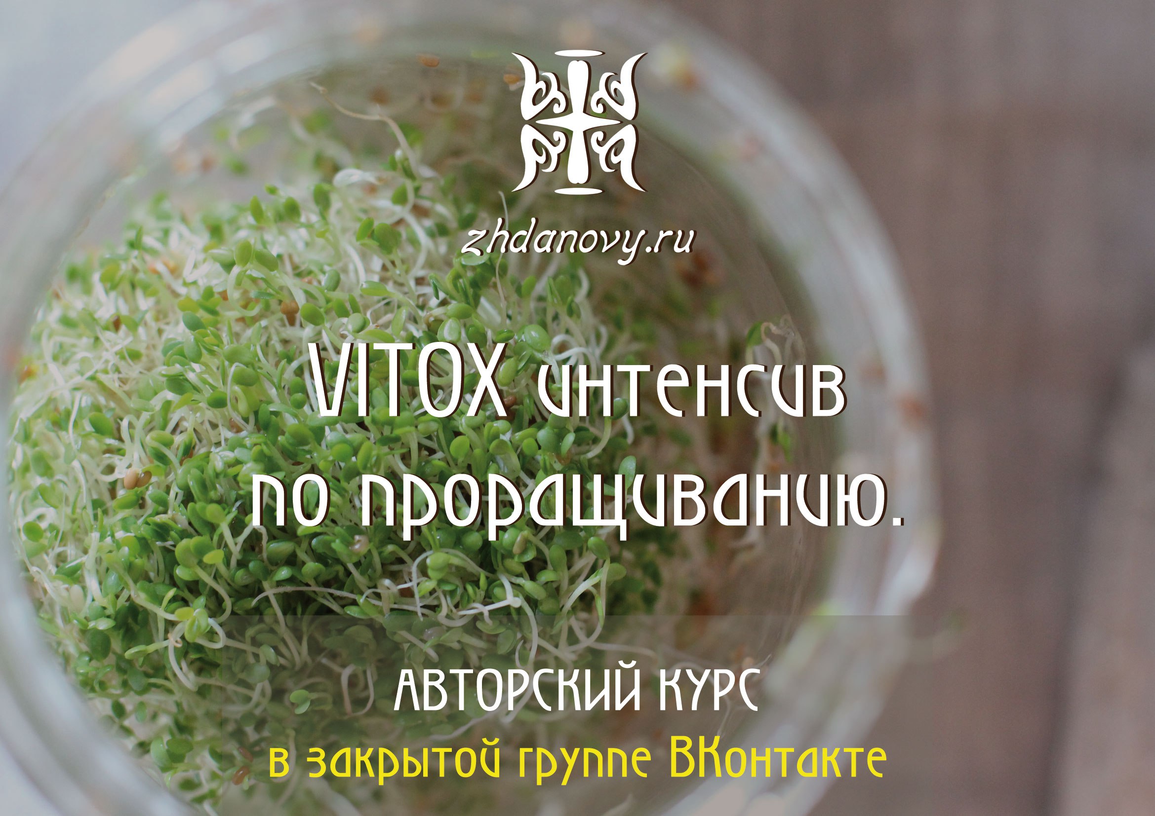 VITOX интенсив по проращиванию