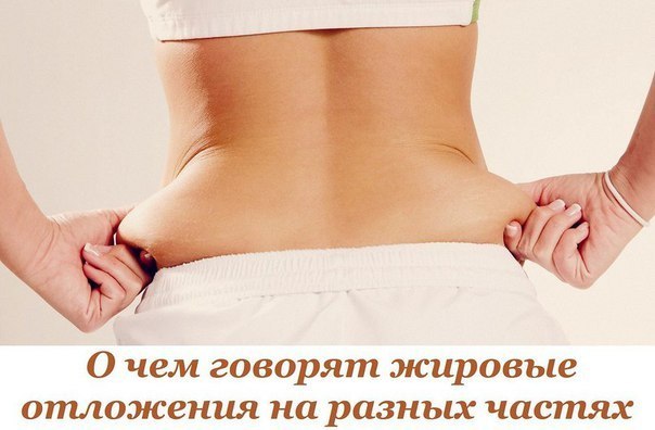 О чем говорят жировые отложения на разных частях тела 