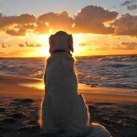 Ольга Безлюдных