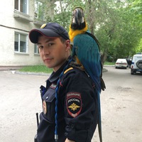 Роман Кипелов