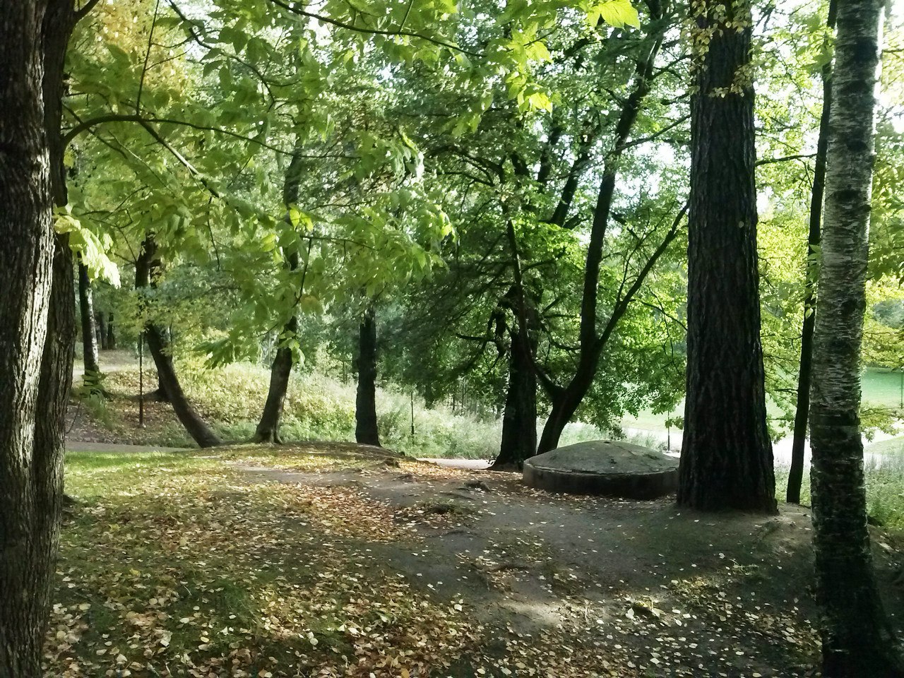 Удельный парк в санкт петербурге