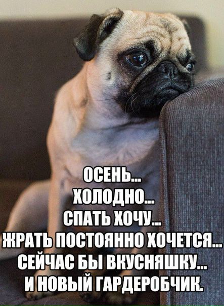 Когда настроение - осень 
