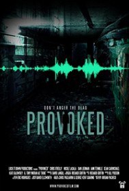 Спровоцированный / Provoked (2016) Спровоцированный / Provoked (2016)