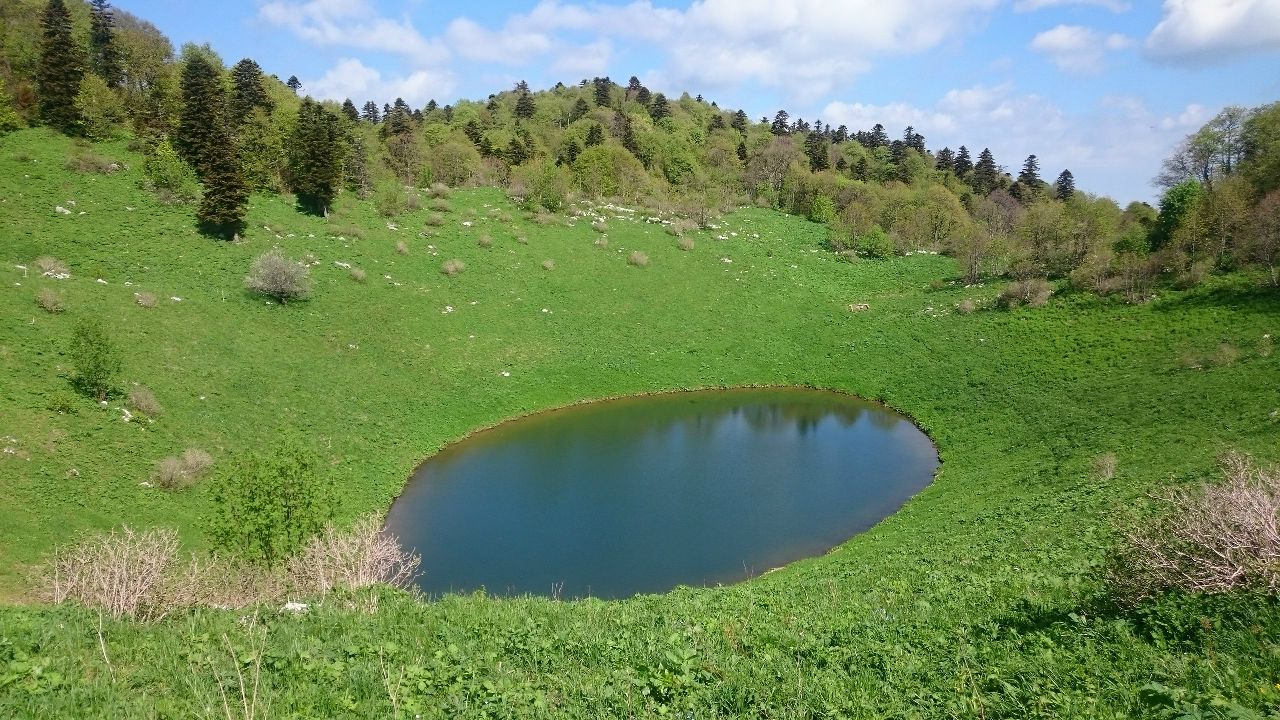 https://pp.userapi.com/c638823/v638823316/43883/ZKvV2qzAmDs.jpg