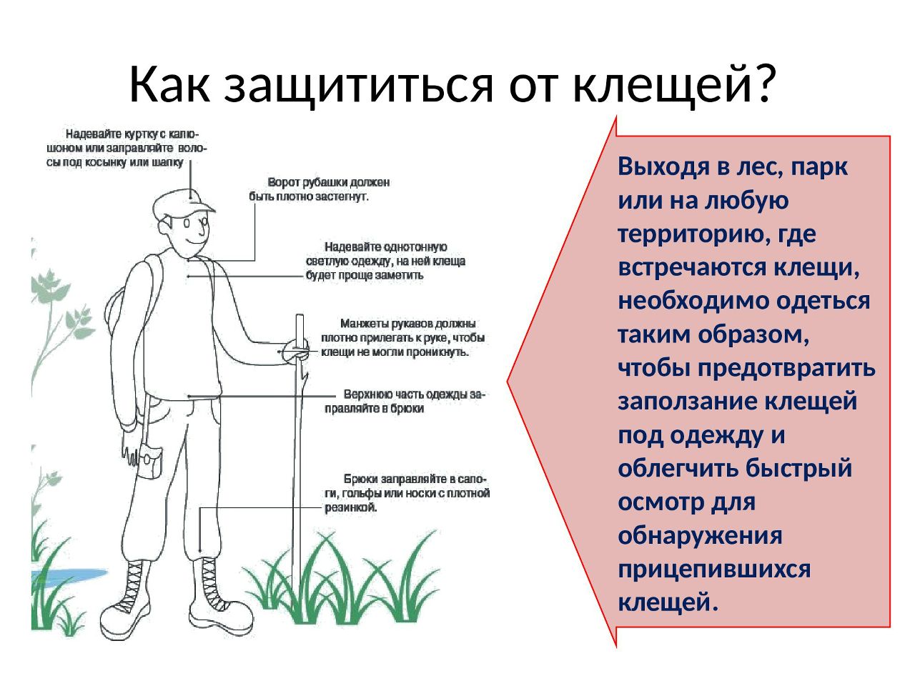 как защититься от клещей