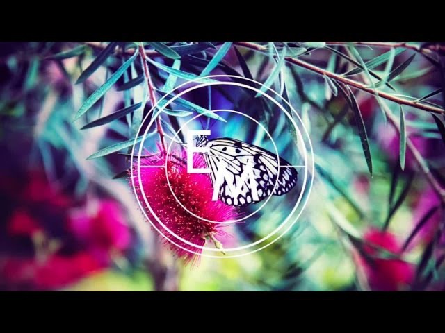 Kidnap Kid - First Light