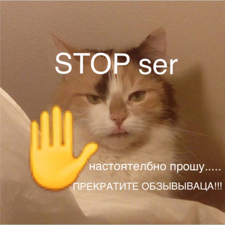aPnm_O_L0XQ.jpg