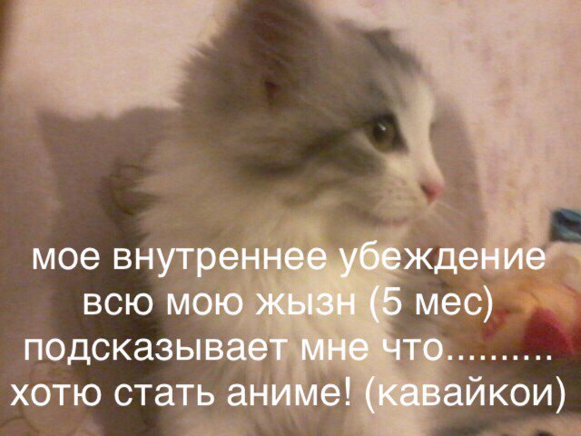 Q65zXDKHMg8.jpg