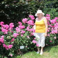 Анна Феськова | 