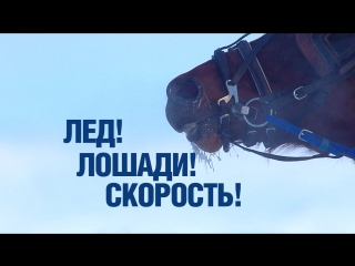 Лед! Лошади! Скорость!