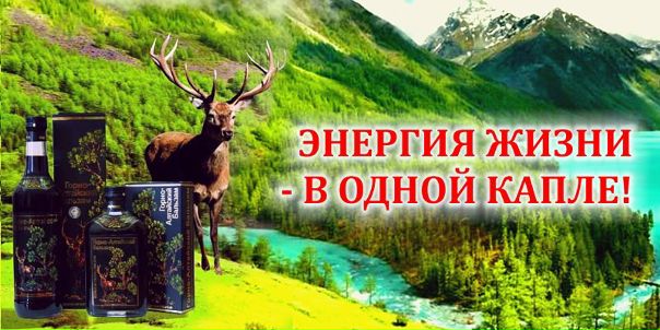 Теперь вы можете закать натуральную и экологически чистую продукцию Алтая в новой группе  