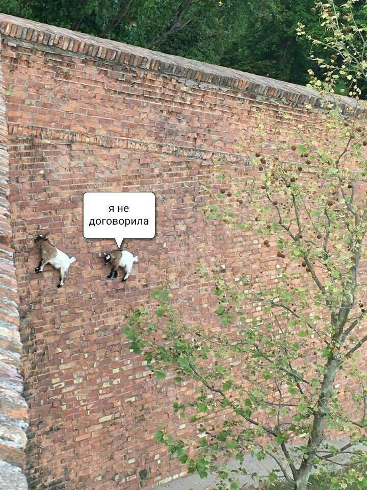 QeBWwDGJXvM.jpg
