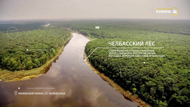 Челбасский лес