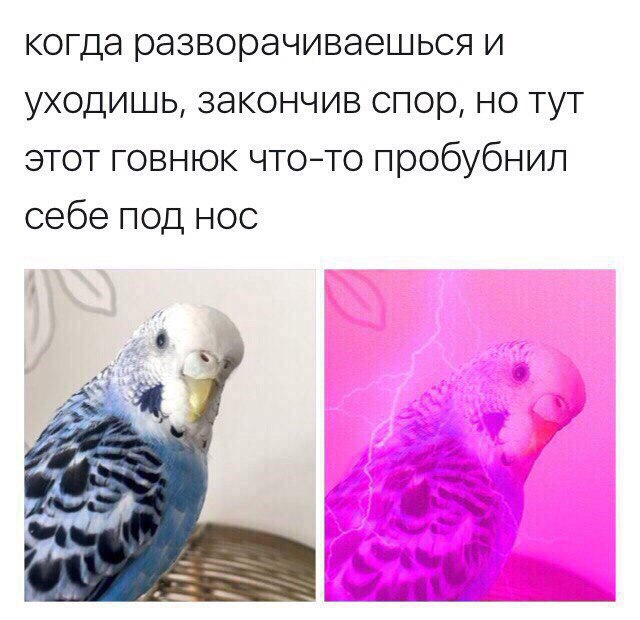 8OgOAn9Zjpk.jpg