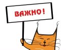 Объявление от Алена - фото №1