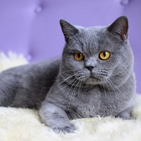 Марина Валерьева