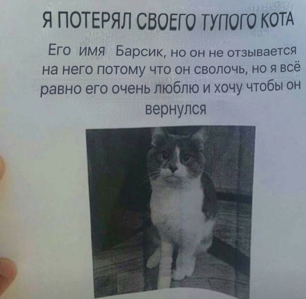 угарные фоточки