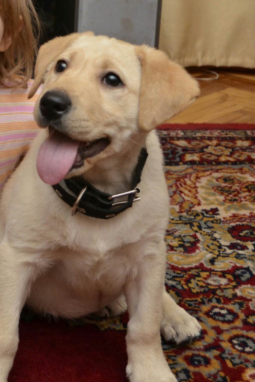 Зображення