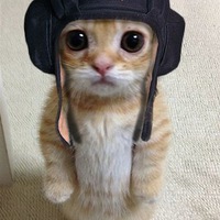 Игорь Артюхов |