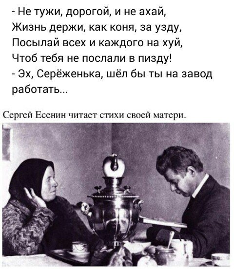Картинка с надписью не грусти дорогой и не ахай, цветы