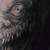 Фото пользователя Светлана