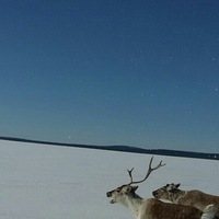 Сергей Капустин