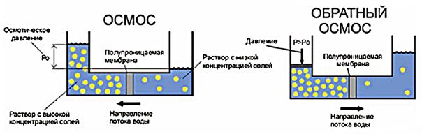 Осмос