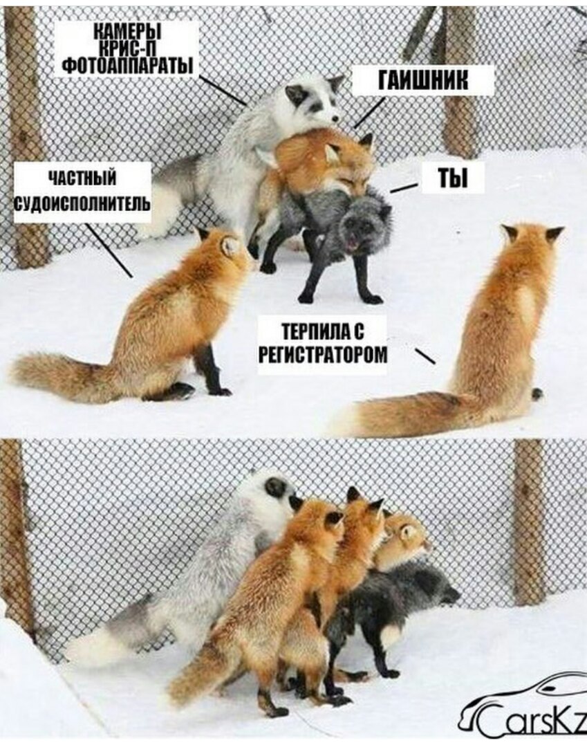 HN7jf8PMp9s.jpg