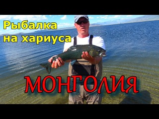 Монгольский хариус/Рыбалка в Монголии/Как наловить хариуса/