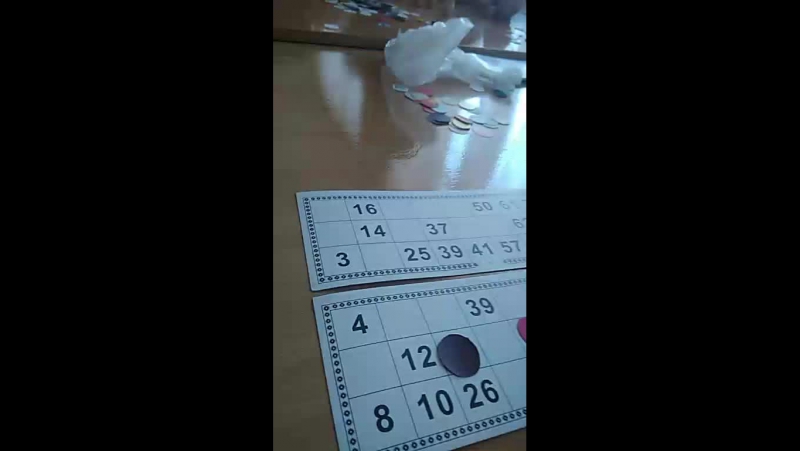 лото забава