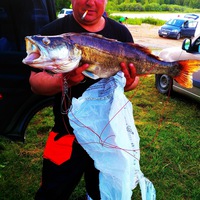 Сергей Шерстобитов | 