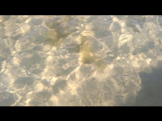 Море 27.08.2017 Анапа Витязево пляж Витязь